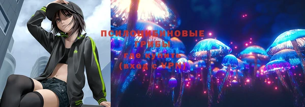 прущие крисы Краснослободск