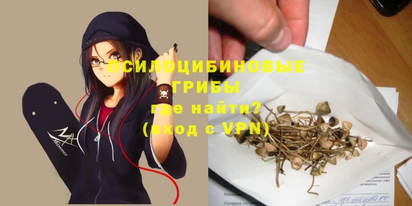 крисы Кукмор