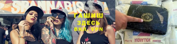 гидра Кулебаки