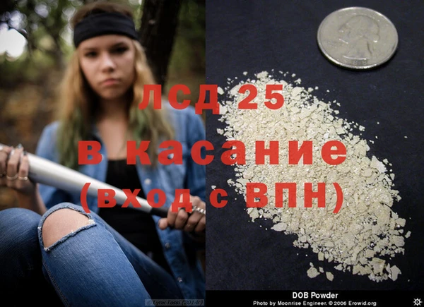 гидра Кулебаки