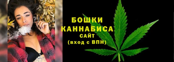 МДПВ Вязьма