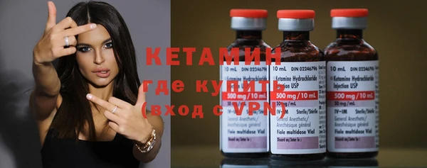 крисы Новодвинск