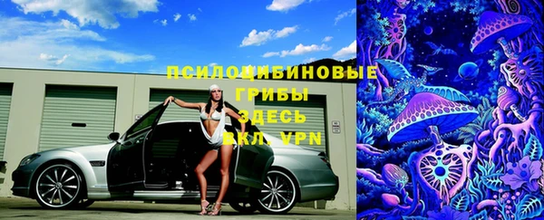 крисы Кукмор