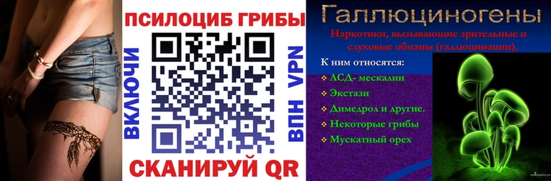 где купить Талица Псилоцибиновые грибы мухоморы